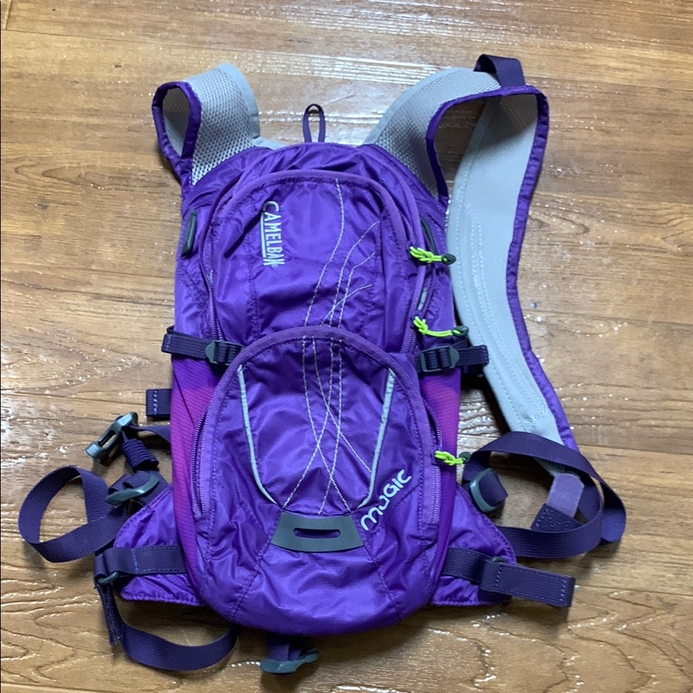 CamelBak Purple Hydration Hiking Backpack